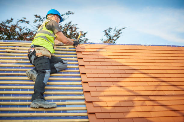 Best Storm Damage Roof Repair  in Bellwood, VA